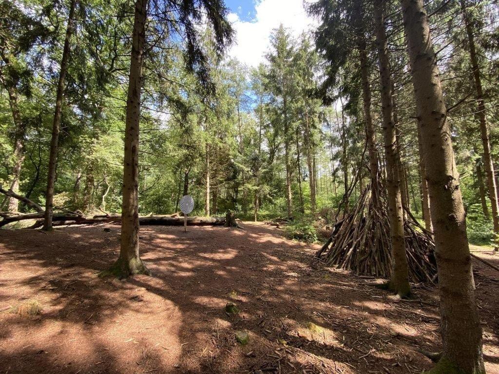 Barssel  Ferienhaus Seestern Am Harkebruegger See Mit Sauna Und Kamin מראה חיצוני תמונה